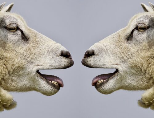 5 cattive abitudini di conversazione